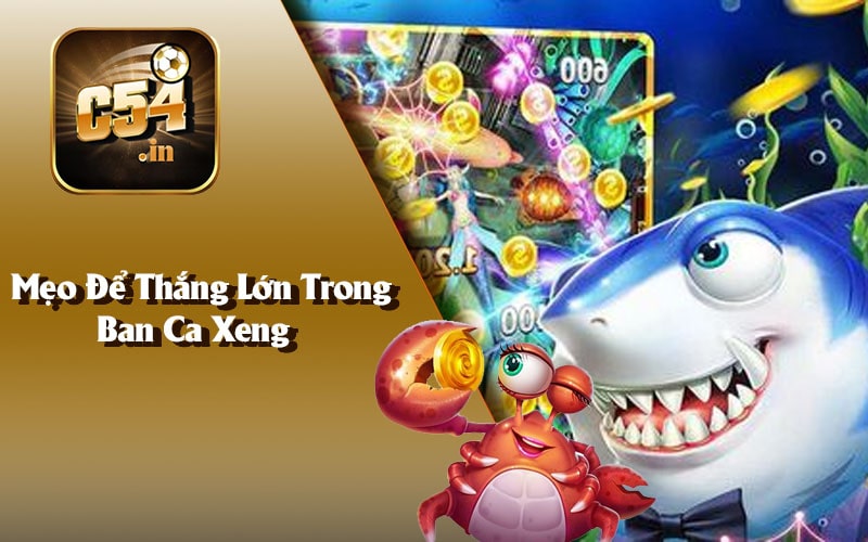 Mẹo Để Thắng Lớn Trong Ban Ca Xeng