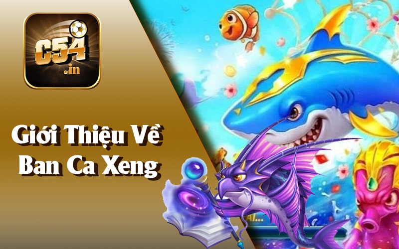 Giới Thiệu Về Ban Ca Xeng