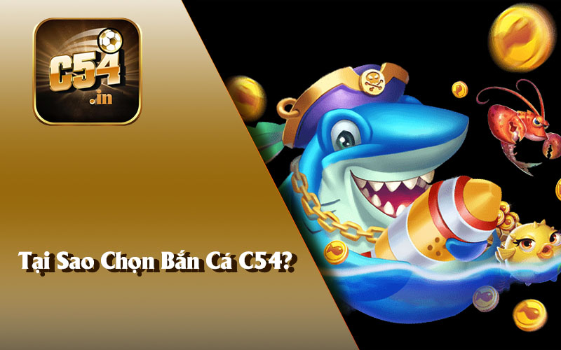 Tại Sao Chọn Bắn Cá C54?