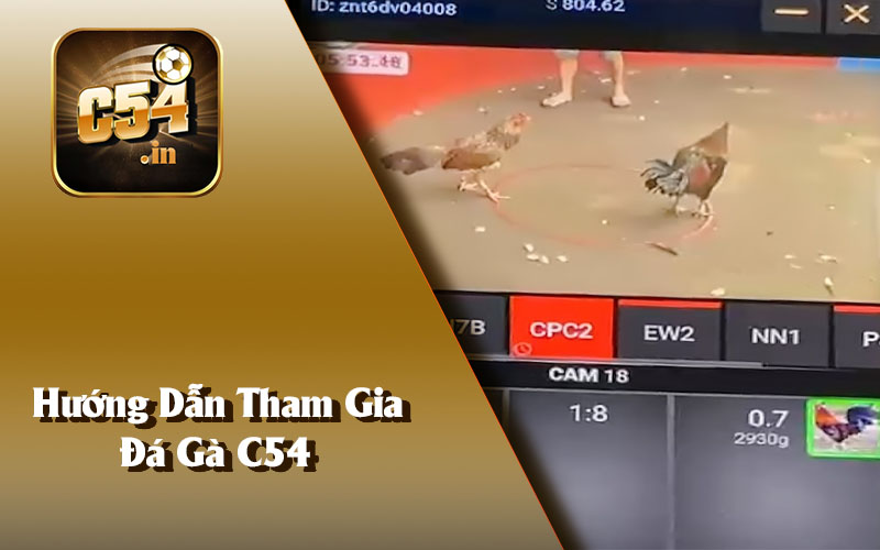 Hướng Dẫn Tham Gia Đá Gà C54